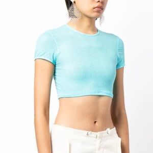 Alexander Wang Mesh Crop Top